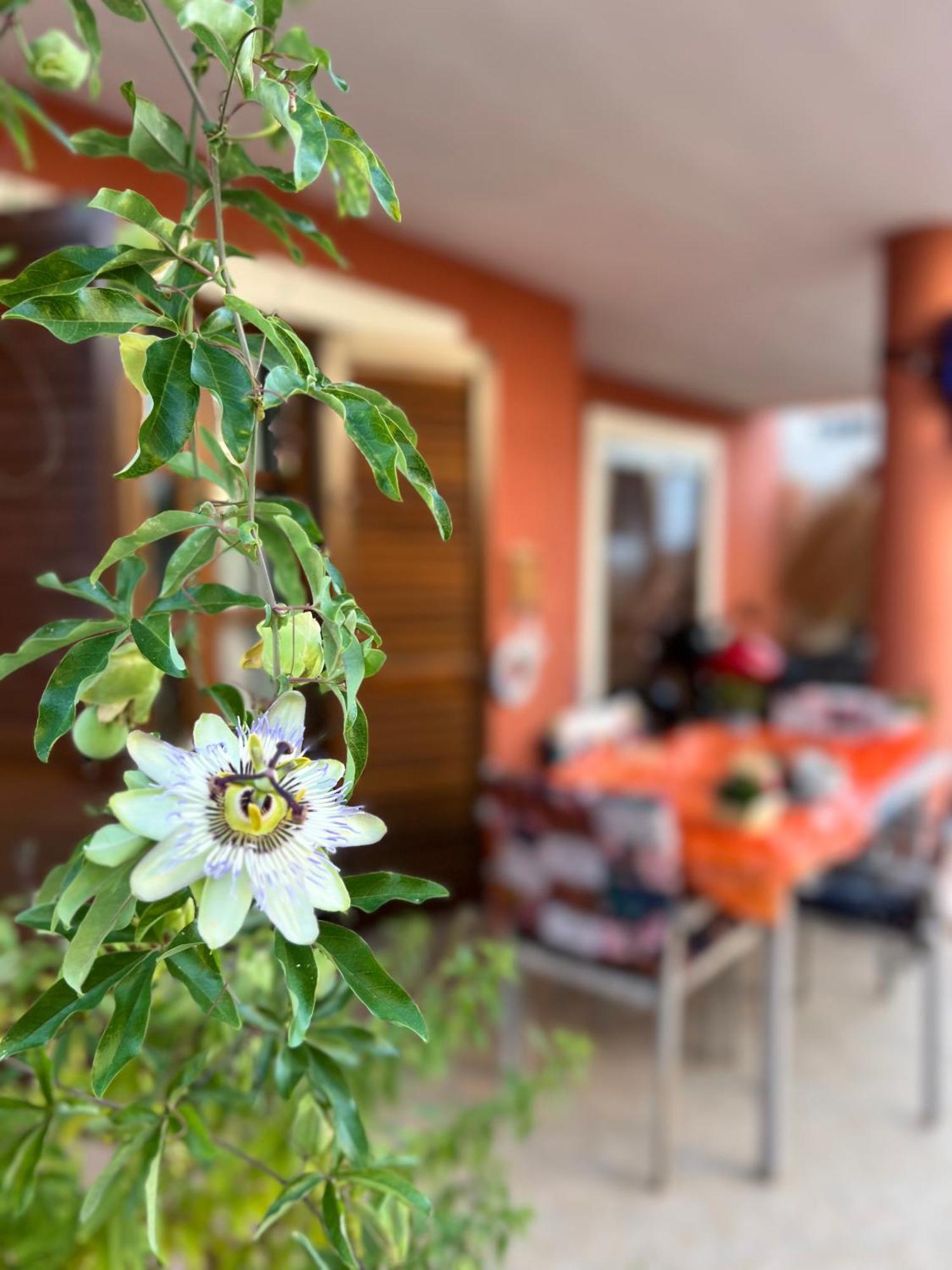 Villa Bella 佩斯卡拉 外观 照片
