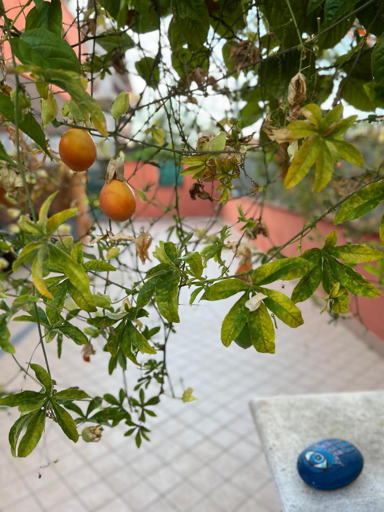 Villa Bella 佩斯卡拉 外观 照片